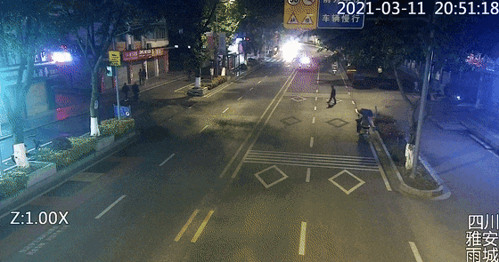 斑马线礼让_马路墩子_交通安全事故
