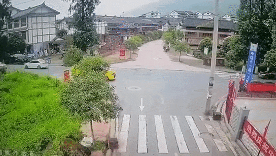 交通安全事故_斑马线礼让_马路墩子